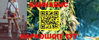 твердый Будённовск