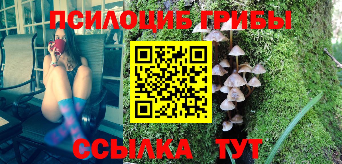 Полевской  Галлюциногенные грибы Psilocybine cubensis  Вход с VPN 